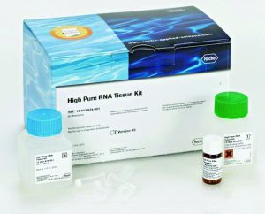 RNA Isolation / Extraction Kits