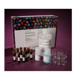 BCA Protein Assay Kits