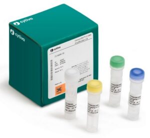 DNA Amplification Kits