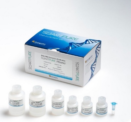 DNA Purification Kits