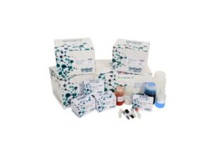 Protein Isolation Kits