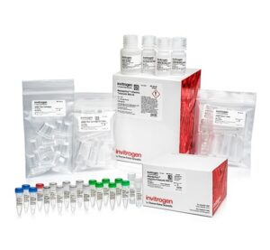 RNA Amplification Kits