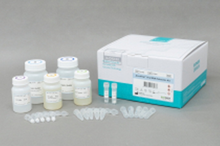 RNA Purification kit